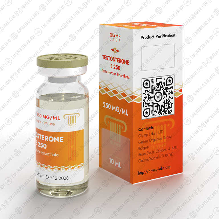 TESTOSTERONE E 250 (Тестостерон Энантат)