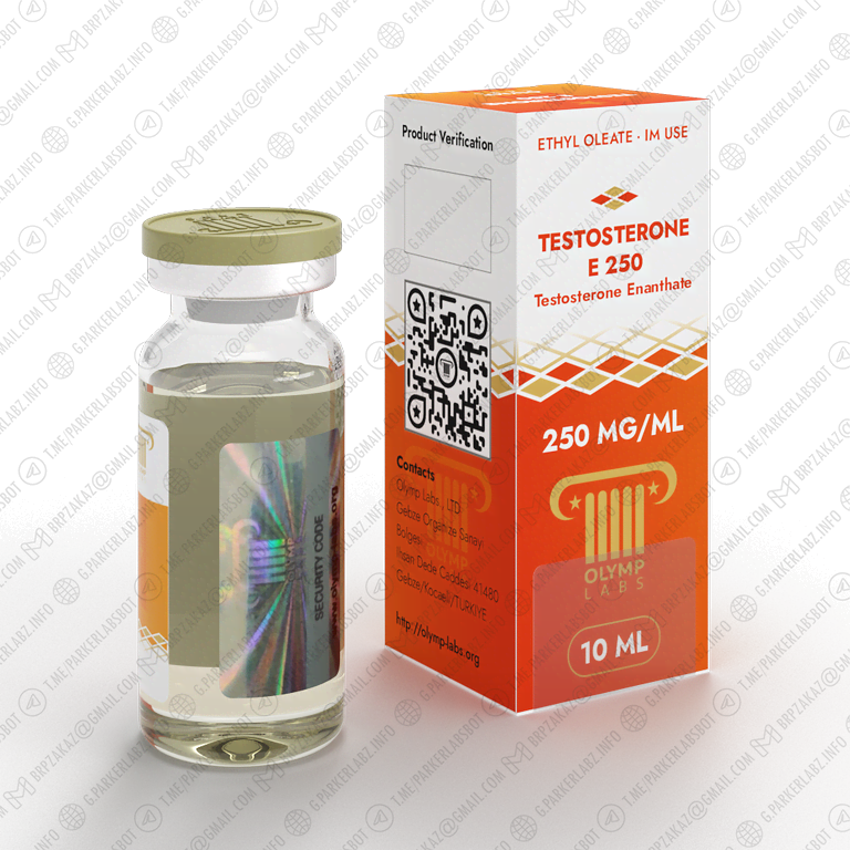 TESTOSTERONE E 250 (Тестостерон Энантат)