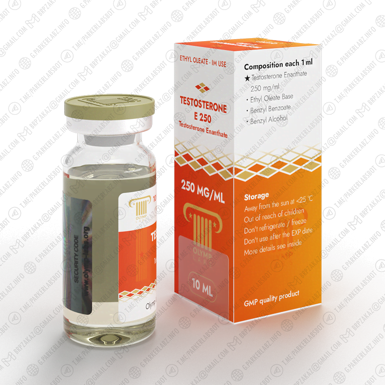 TESTOSTERONE E 250 (Тестостерон Энантат)