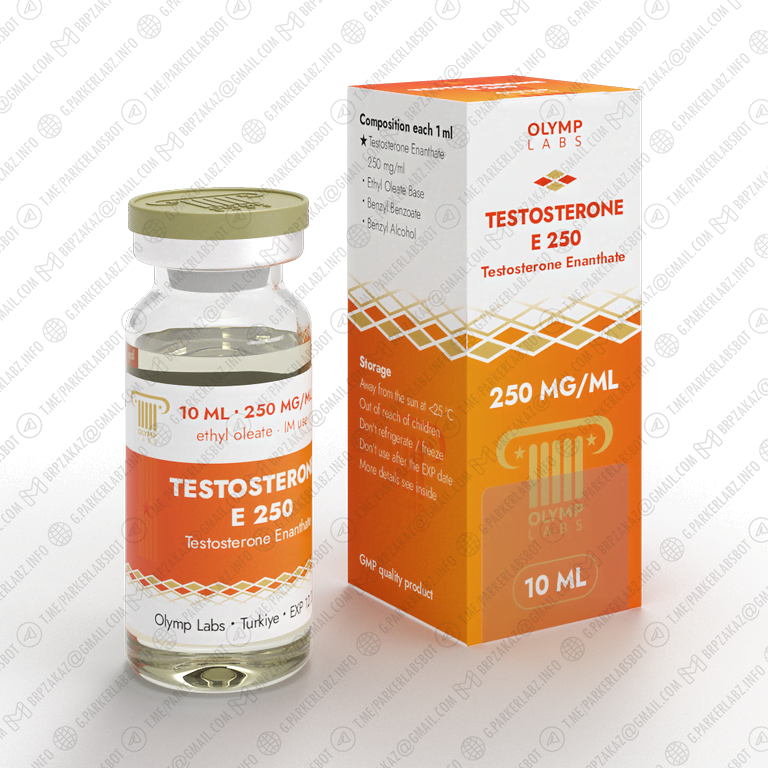TESTOSTERONE E 250 (Тестостерон Энантат)